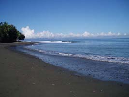 Picture of a beautiful day at Playa Delfn